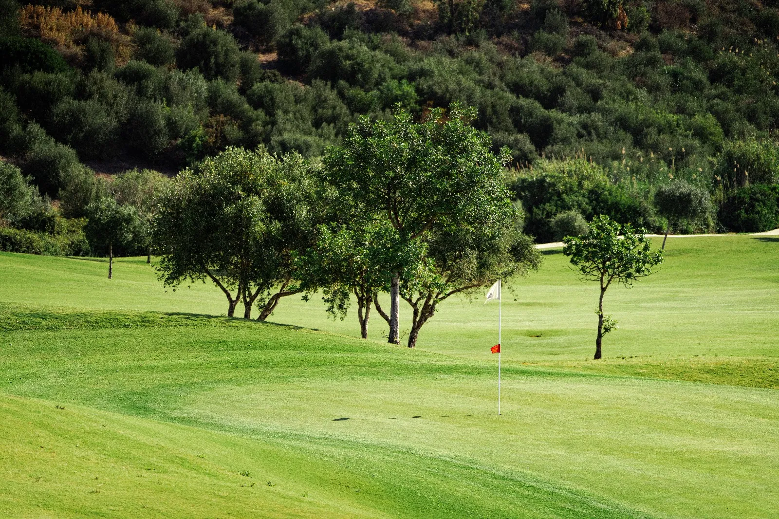 Golf en la Costa del Sol, Valle Romano